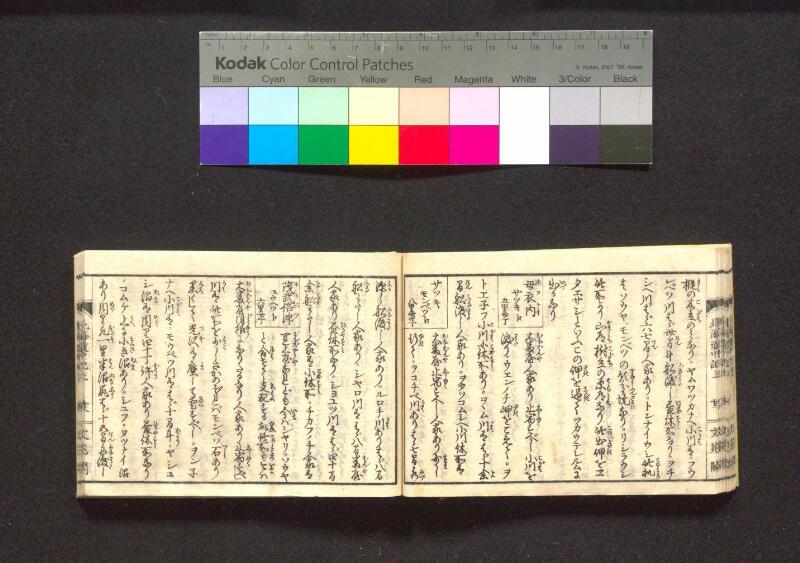 蝦夷行程記　巻之上下（国文学研究資料館） - ページ 31